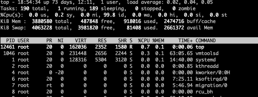 How to Monitor System Activity in linux top Command